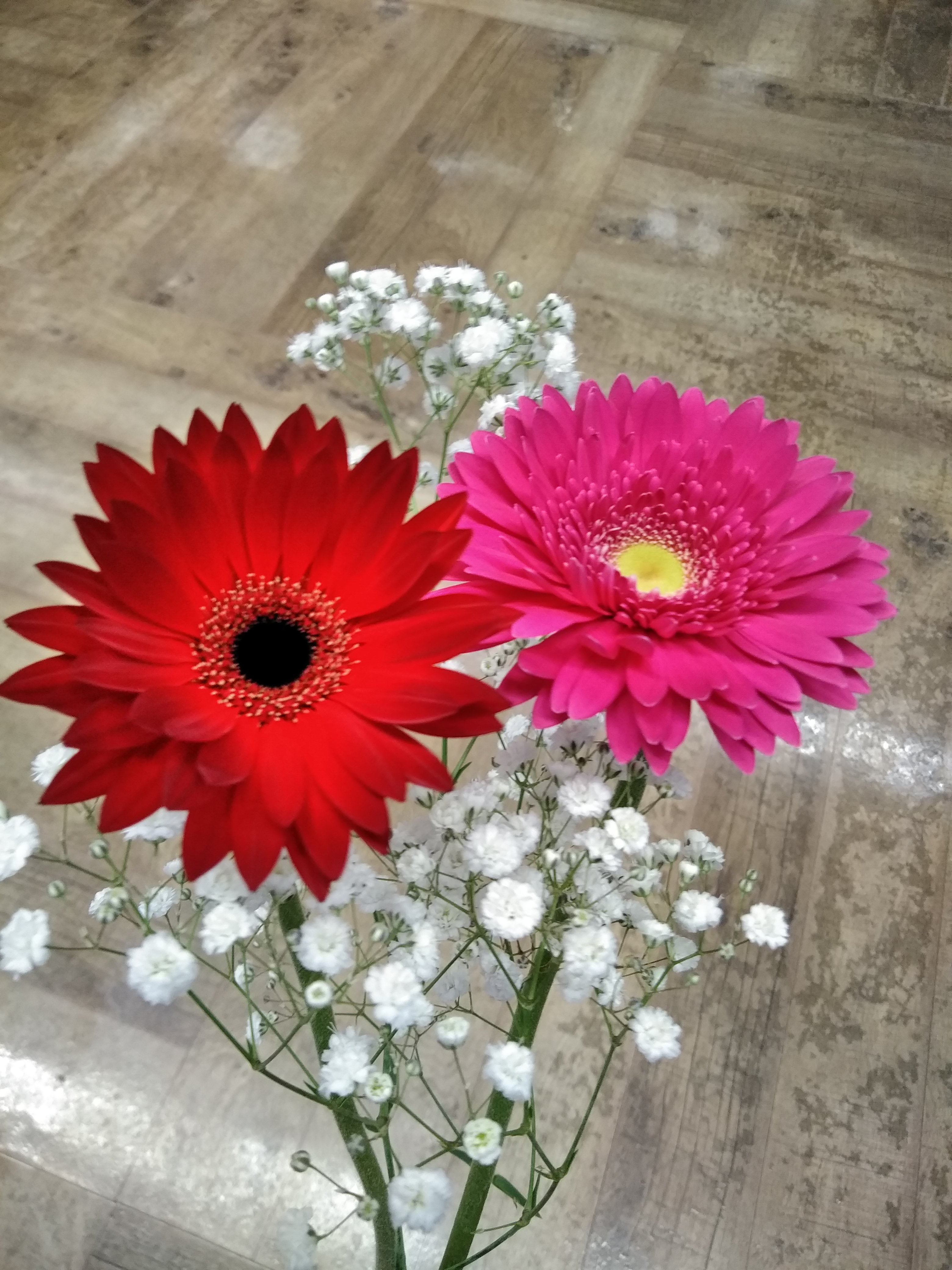 札幌 花屋 札幌市北区のお花屋さん 花だより あらゆる用途に合わせたお花をプロデュース致します ガーベラ かすみ草のセット花